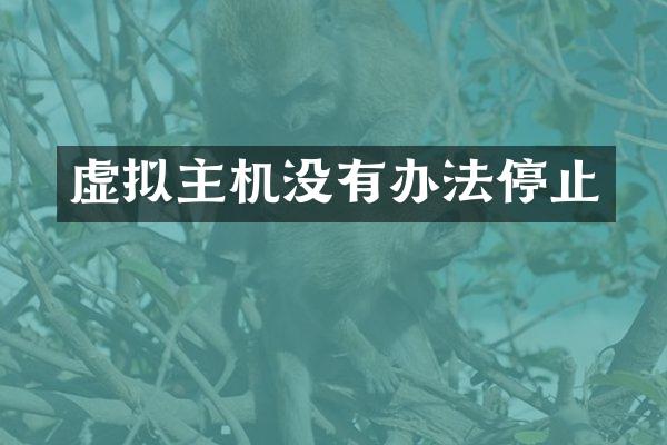 虚拟主机没有办法停止