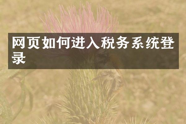 网页如何进入税务系统登录