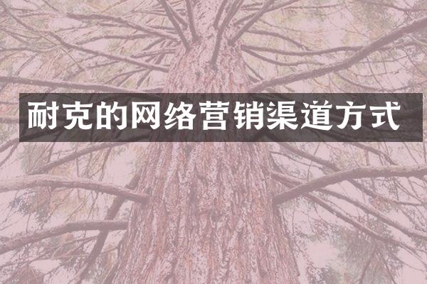 耐克的网络营销渠道方式