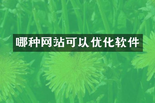 哪种网站可以优化软件