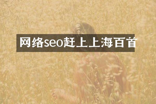 网络seo赶上上海百首