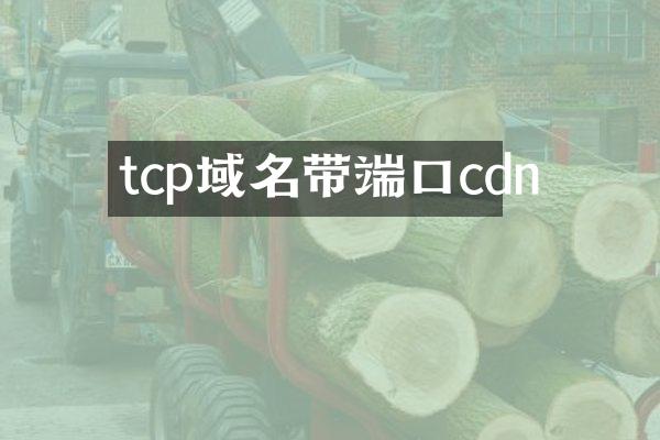 tcp域名带端口cdn