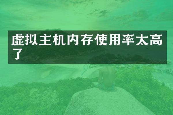 虚拟主机内存使用率太高了