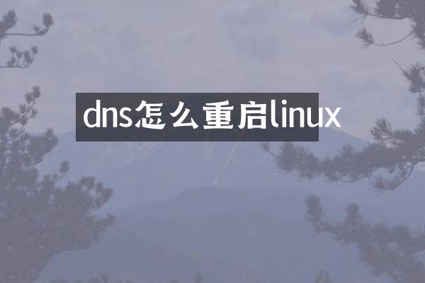 dns怎么重启linux