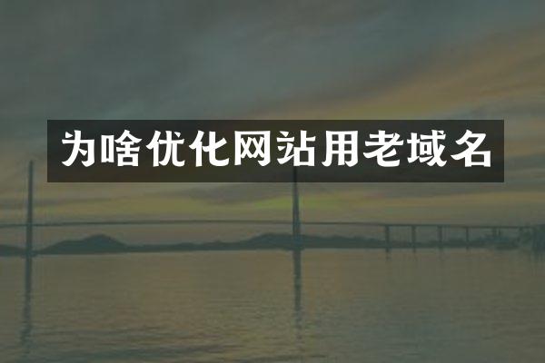 为啥优化网站用老域名