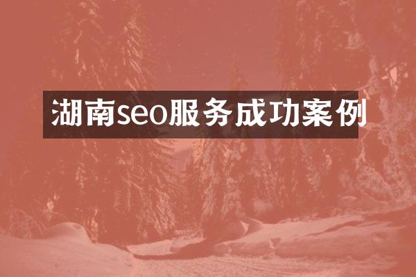 湖南seo服务成功案例