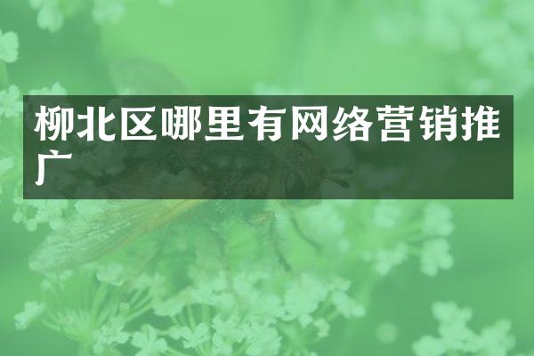 柳北区哪里有网络营销推广