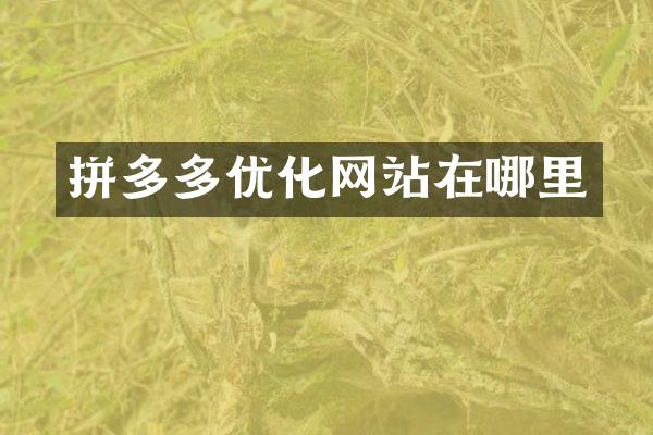 拼多多优化网站在哪里