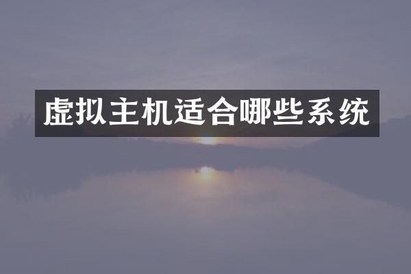 虚拟主机适合哪些系统