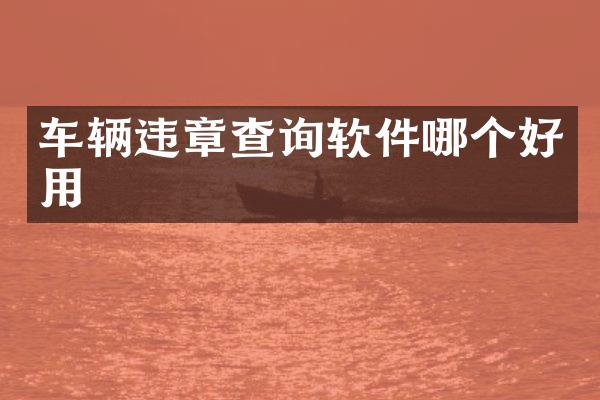 车辆违章查询软件哪个好用