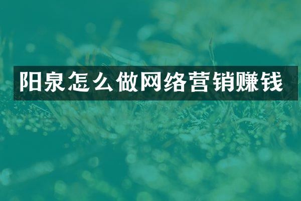 阳泉怎么做网络营销赚钱