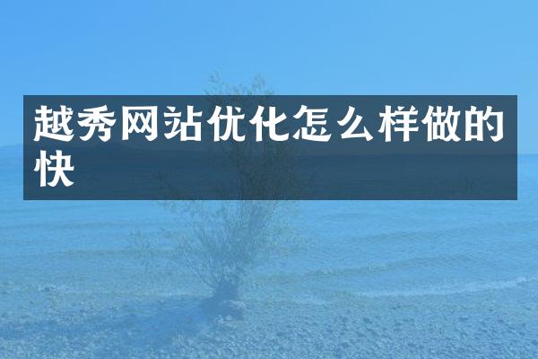越秀网站优化怎么样做的快