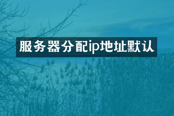 服务器分配ip地址默认
