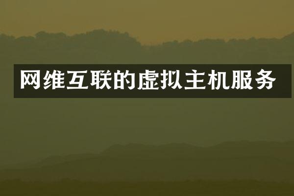 网维互联的虚拟主机服务