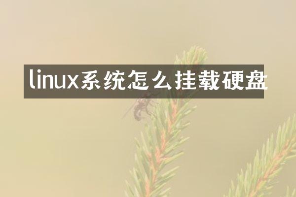 linux系统怎么挂载硬盘