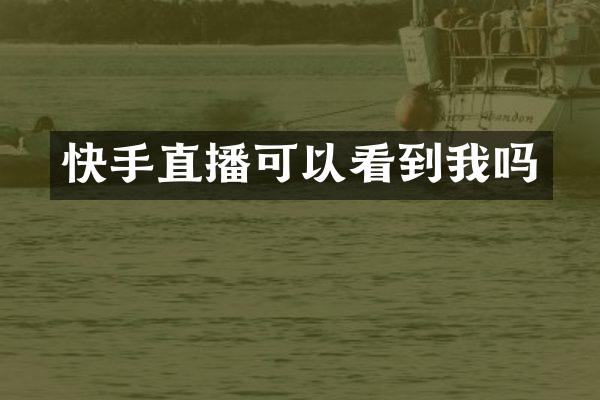 快手直播可以看到我吗