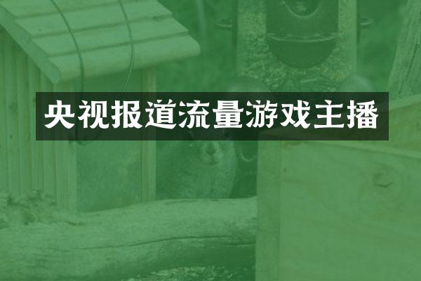 央视报道流量游戏主播