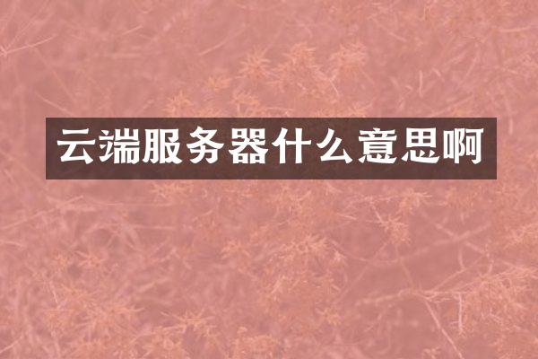 云端服务器什么意思啊
