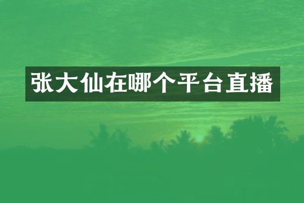 张大仙在哪个平台直播