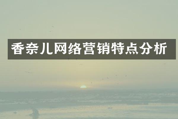香奈儿网络营销特点分析