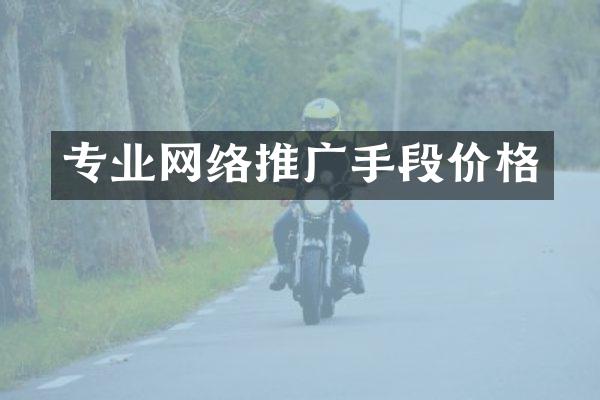 专业网络推广手段价格