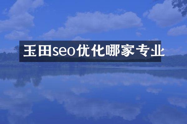 玉田seo优化哪家专业