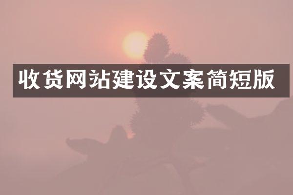 收货网站建设文案简短版