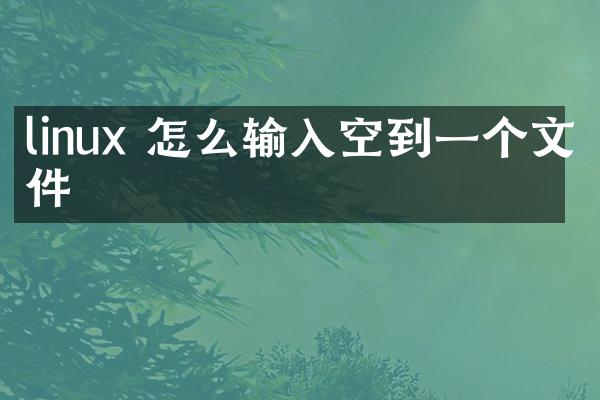 linux 怎么输入空到一个文件