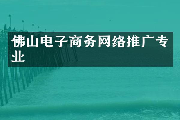 佛山电子商务网络推广专业