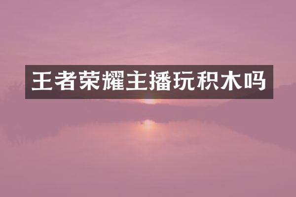 王者荣耀主播玩积木吗