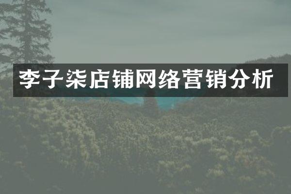 李子柒店铺网络营销分析