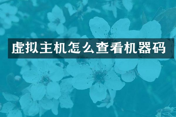 虚拟主机怎么查看机器码
