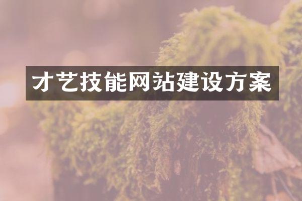 才艺技能网站建设方案