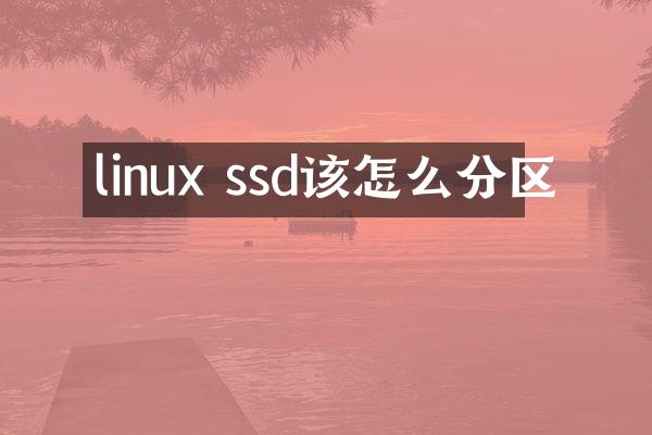 linux ssd该怎么分区