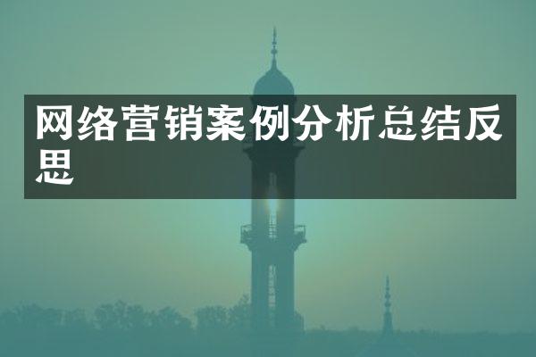 网络营销案例分析总结反思