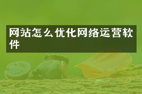网站怎么优化网络运营软件