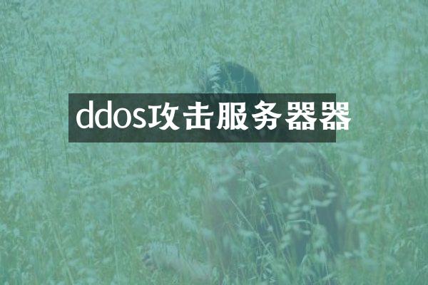 ddos攻击服务器器