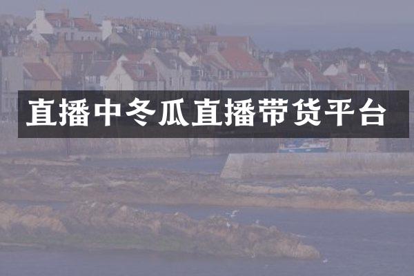 直播中冬瓜直播带货平台