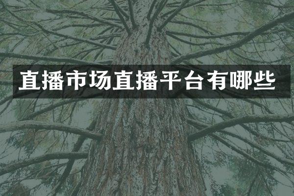 直播市场直播平台有哪些
