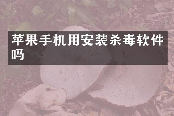 苹果手机用安装杀毒软件吗
