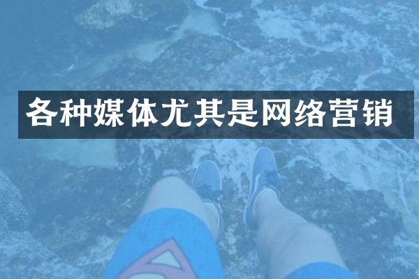 各种媒体尤其是网络营销