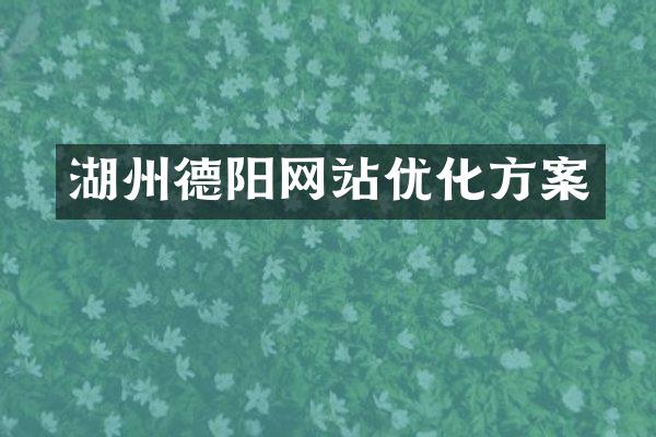 湖州德阳网站优化方案