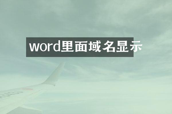 word里面域名显示