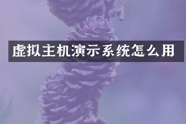 虚拟主机演示系统怎么用