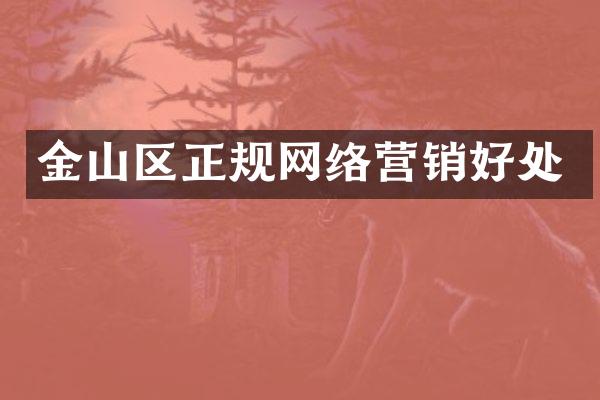 金山区正规网络营销好处