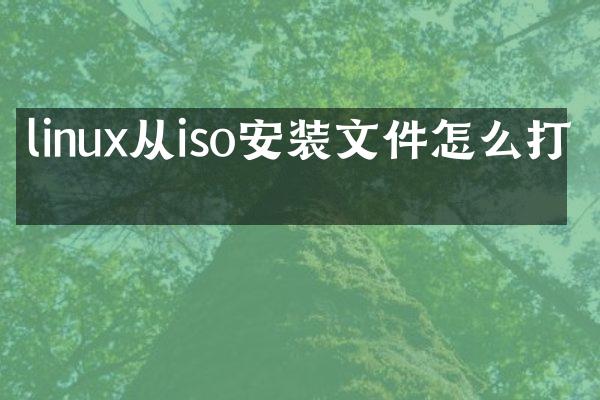linux从iso安装文件怎么打开