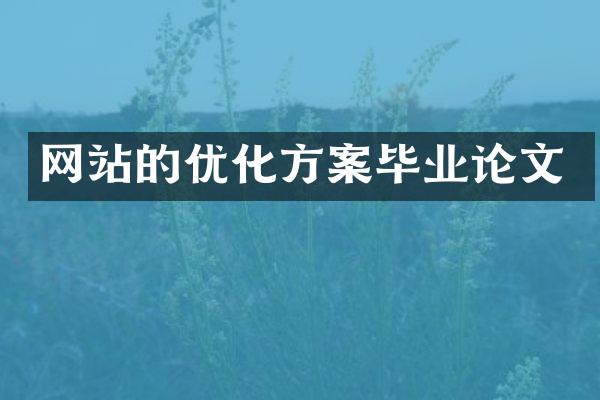 网站的优化方案毕业论文
