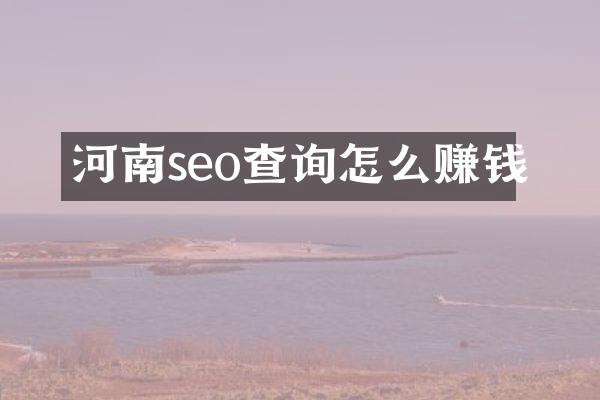 河南seo查询怎么赚钱