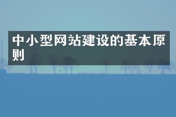 中小型网站建设的基本原则