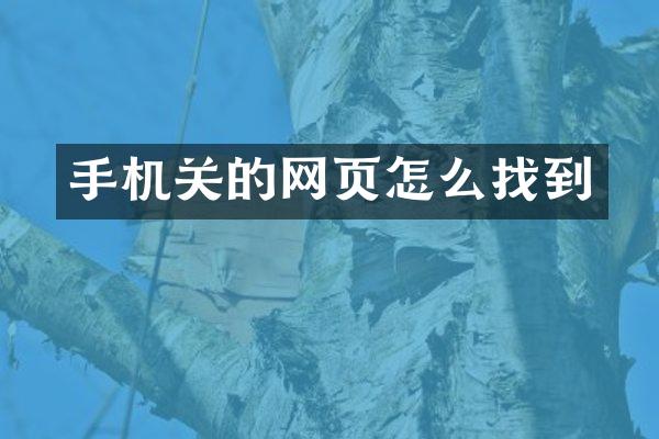 手机关的网页怎么找到